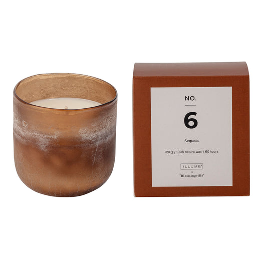 NO.6-Sequoia Scent Candle, Brown, Wax