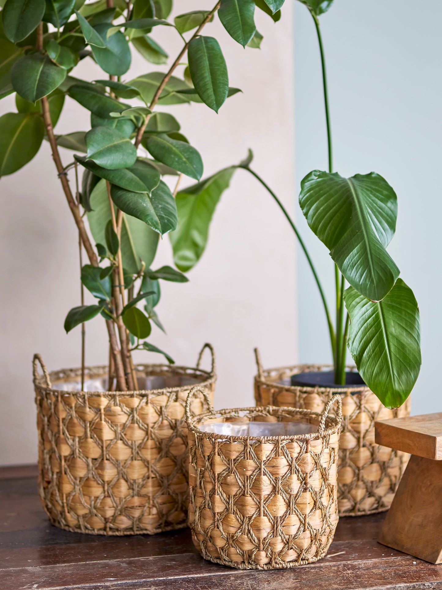 Joleen Basket, Nature, Water Hyacinth